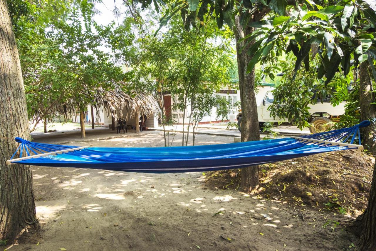 Best Hostel Yala Tissamaharama Pokoj fotografie