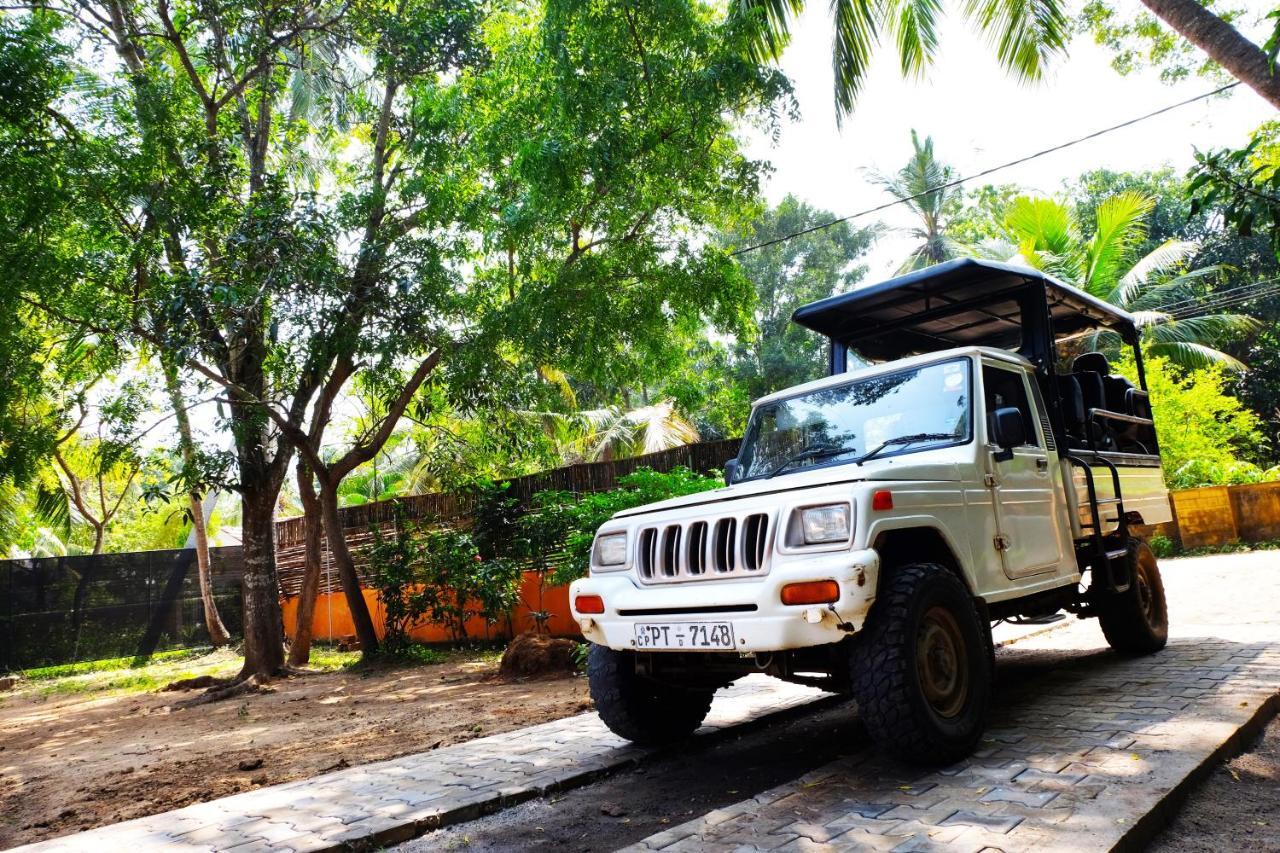 Best Hostel Yala Tissamaharama Pokoj fotografie